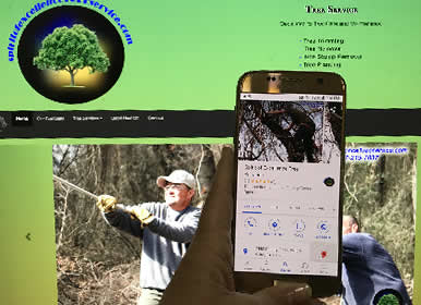 Tree Service Company-Website Design by Sims Solutions | www.simssolutions.com